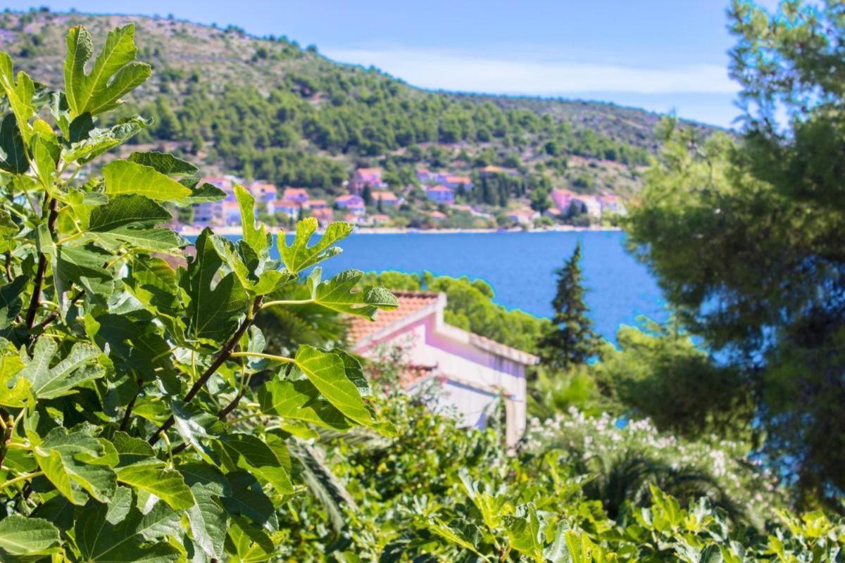7 Olives Apartments Rogoznica  Chambre photo